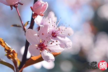 被子什么颜色招桃花,睡眠质量与颜色之间的关系  第1张