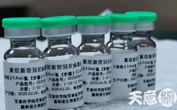 生肖鼠2024下半年需注意什么  第1张